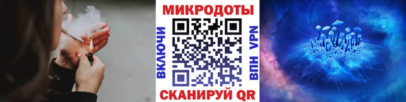 наркота  Лыткарино  Псилоцибиновые грибы Cubensis 