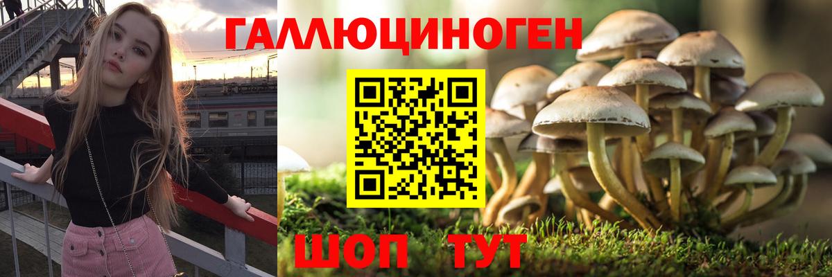 Галлюциногенные грибы мицелий Лыткарино