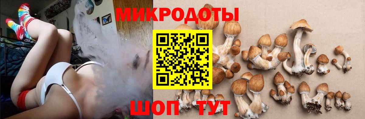 Галлюциногенные грибы мицелий  Галлюциногенные грибы ЛСД  Вход с VPN  Лыткарино 